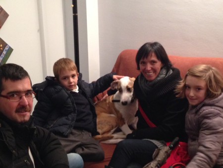 RINGO tras dos meses y medio de acogida adoptado por Yoli y su familia!!! suerte pequeño!!!